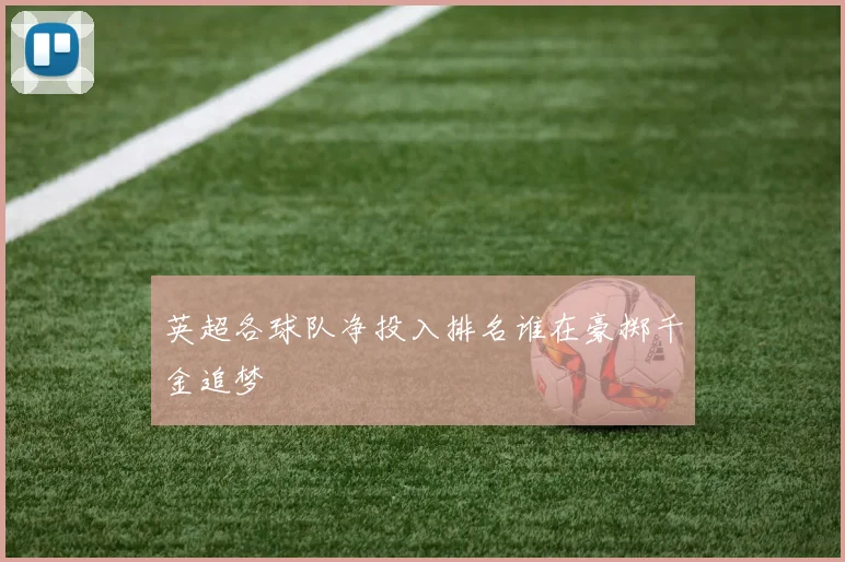英超各球队净投入排名谁在豪掷千金追梦